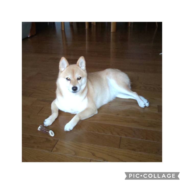 96efd762 8726 4927 9ca7 fbdb8b4056af 1695072804205