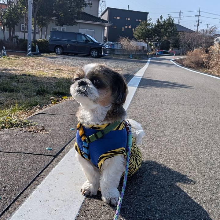 96efe867 7976 46ce bcd4 086c2dcc2a70 1770128585876