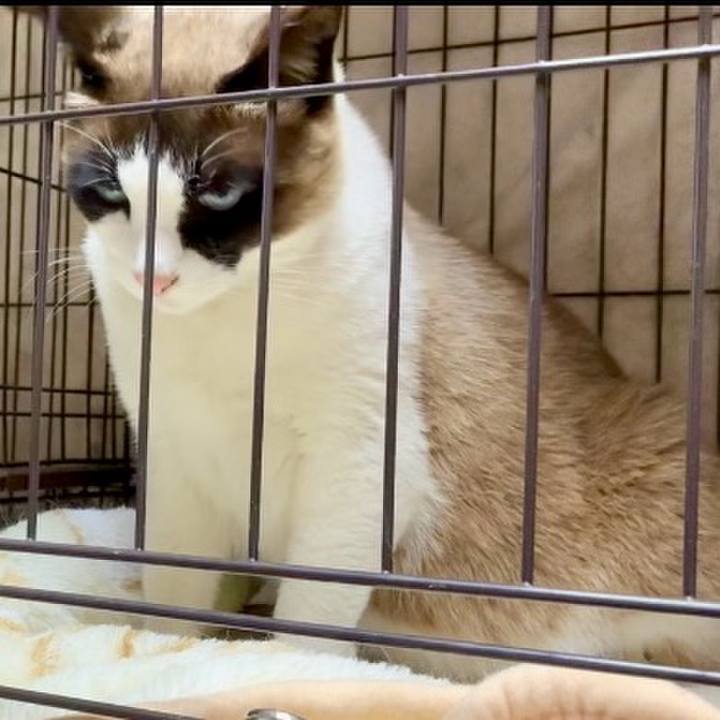 96f0136c df50 4cc1 8097 6c0da7f3467b 1744545262179