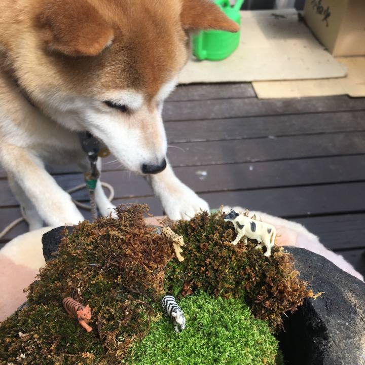 96f0250f fa36 407a ac66 b075b88e6507 1562563819312