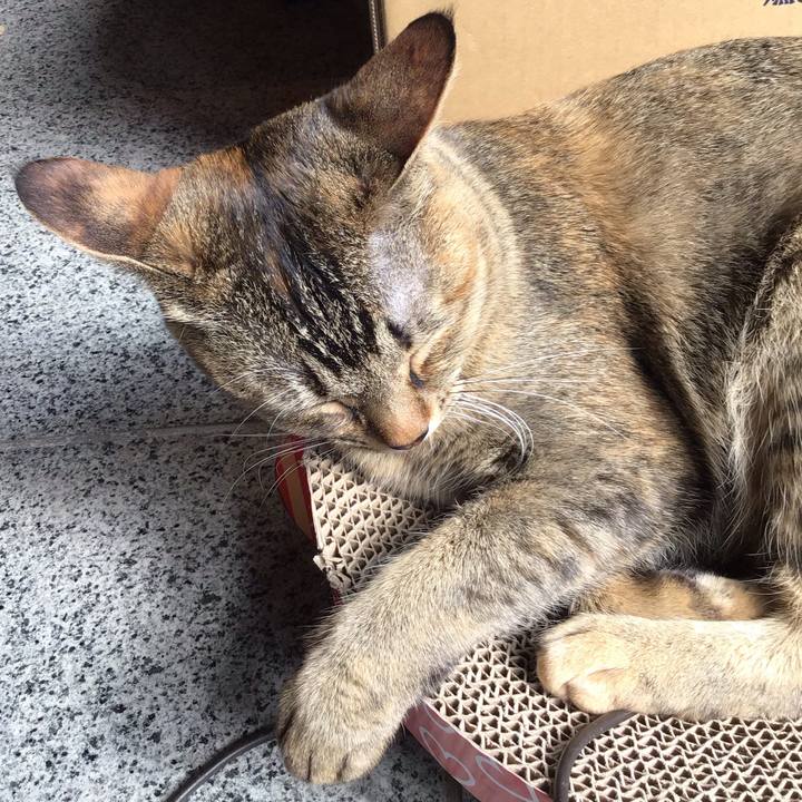 96f0253c 7d59 47d0 8875 aff798c079be 1584075031905