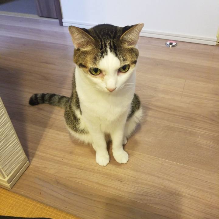 96f026ee 0783 4bef 80ef 0bbdd7224068 1579815845825