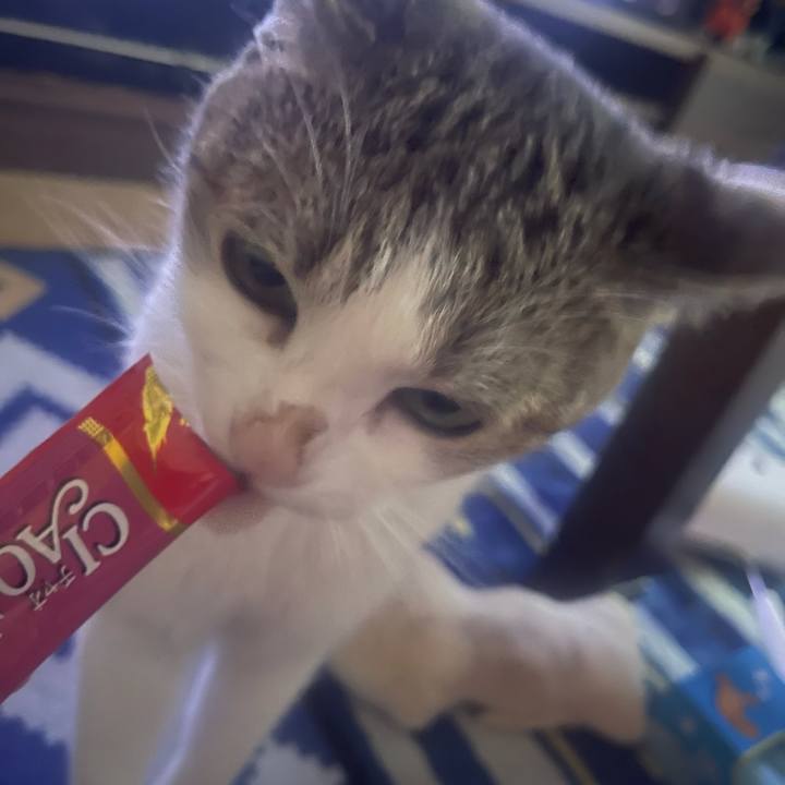 96f07941 b0a1 4894 bf0b cc54852548a6 1631178321635