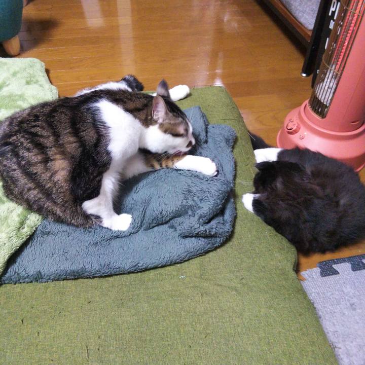 96f087c2 8de6 4daa 91e9 fe4621c1cccc 1640849126157