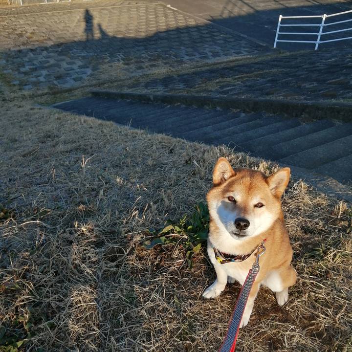 96f0d90e 660d 47a9 80d1 1d1661e3f680 1677166014921