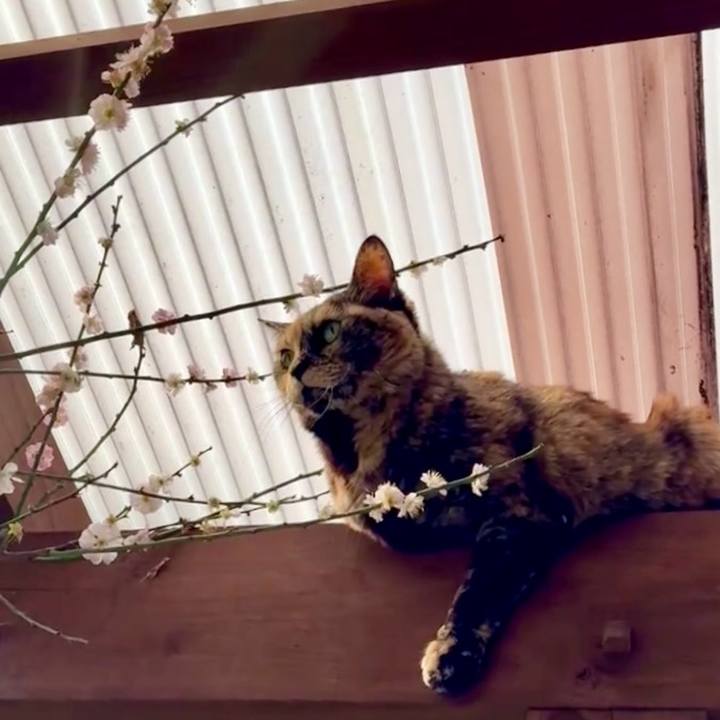 96f0e6d8 15ce 4fdf 871b 4edc4f8110d8 1772680912587