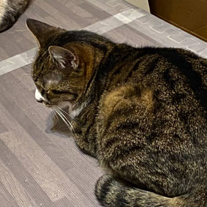 96f16beb f596 4ac6 bf46 a36fabc98e74 1617628382542