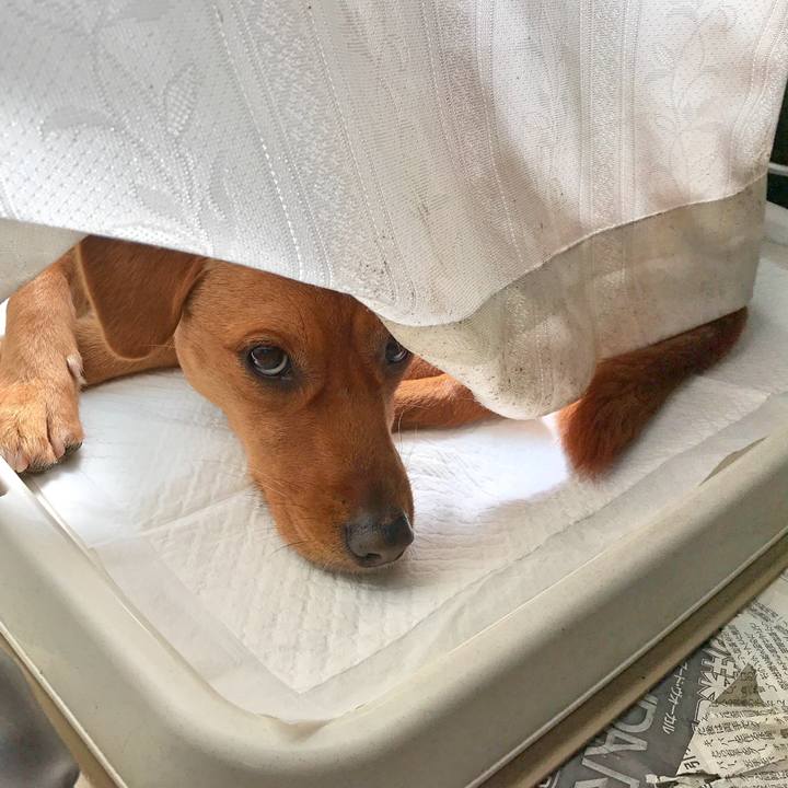 96f16eca 5890 4649 b460 ceb6aef97d59 1520162351854