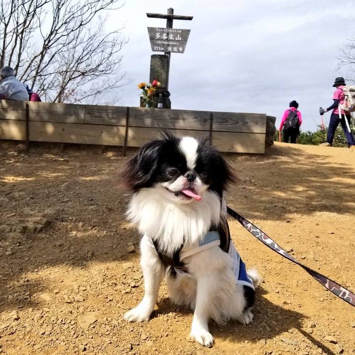 96f18404 1c20 4233 865a 725c4553cff4 1647516667402