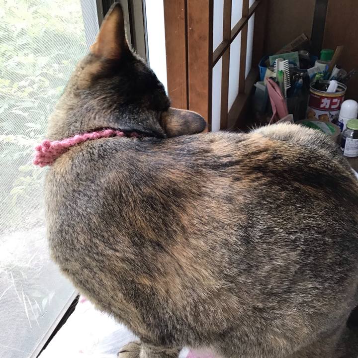 96f1c000 4589 4aa0 a822 b696f92caf04 1588495701593