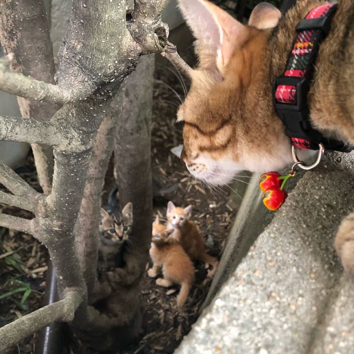 96f1c5be 1975 4b49 8eb0 8e3527d67623 1600325366526