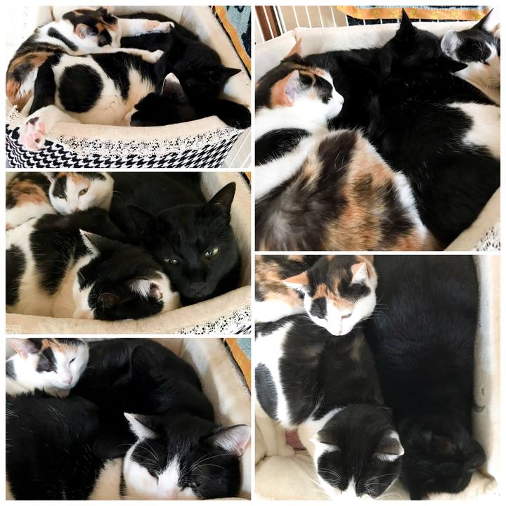 96f1f115 931c 48d5 bc82 97a8de369a5d 1518790807002