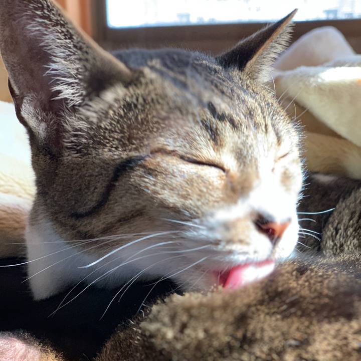 96f1f3d6 9bc0 49cf 8c0d 89459bc667ae 1543020593131