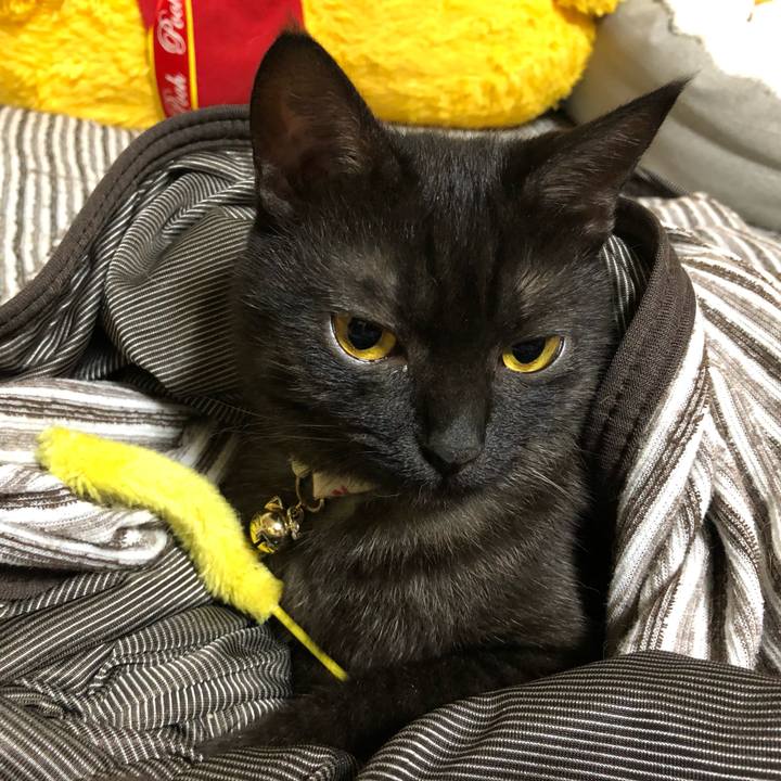 96f2341c a5fe 424a b607 d5b5c8721a55 1621900843674