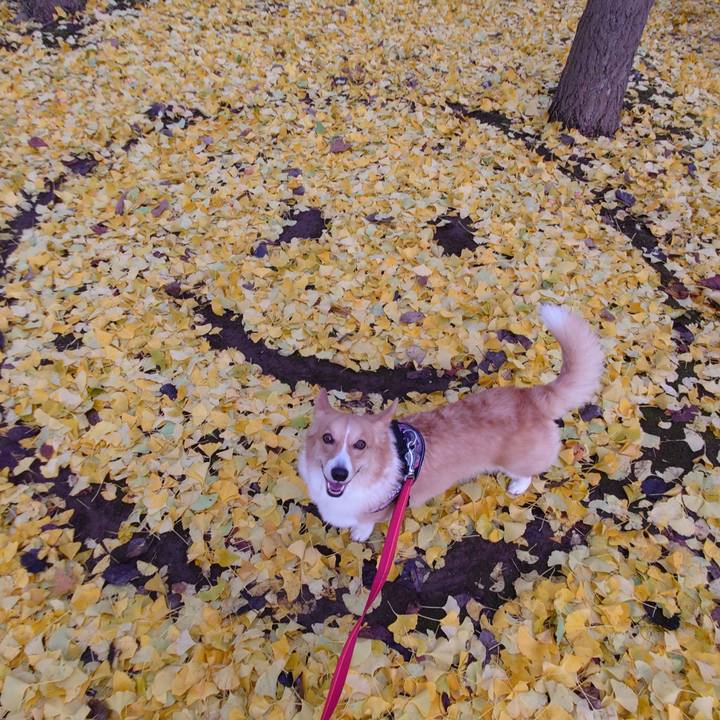 96f27dfb 719f 42ea bcfd 7289a4cf88e9 1762682372148