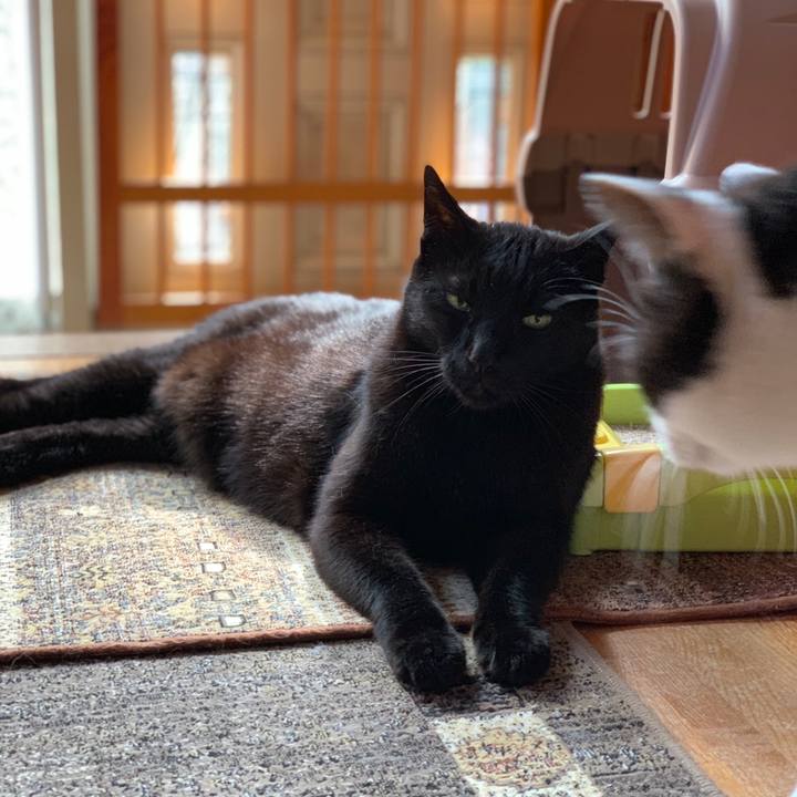 96f2a12b b808 4822 b263 87c5e897ad97 1558313757253