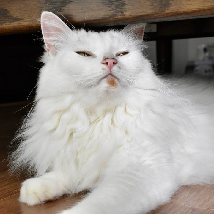 96f2b2c1 bd2d 4da9 86d4 44facf954970 1758415413762