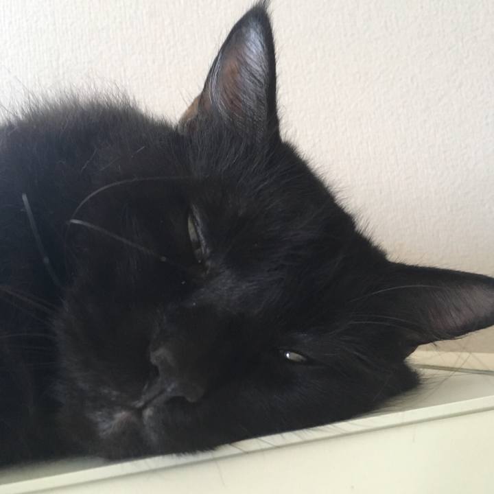 96f2d331 105e 4f25 832b b00ac33f3eed 1564936333145