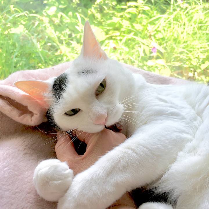 96f30782 f039 4074 9cab ae48c3c354de 1560999659178