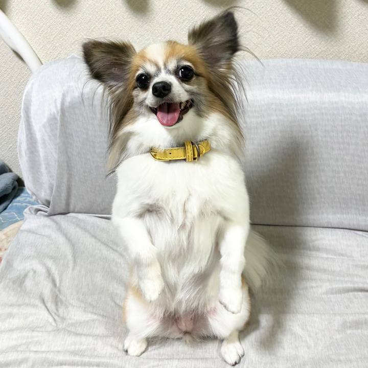 96f3959b 5eb9 491d 9c61 31a9c3842cf1 1763207649820