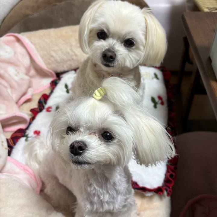 96f39b30 73f5 4855 86ea c178f54f3908 1740389024375