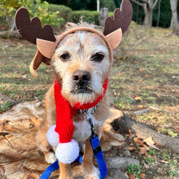 96f3b843 f75a 4e5a a9b6 9da5d642288a 1766533591015