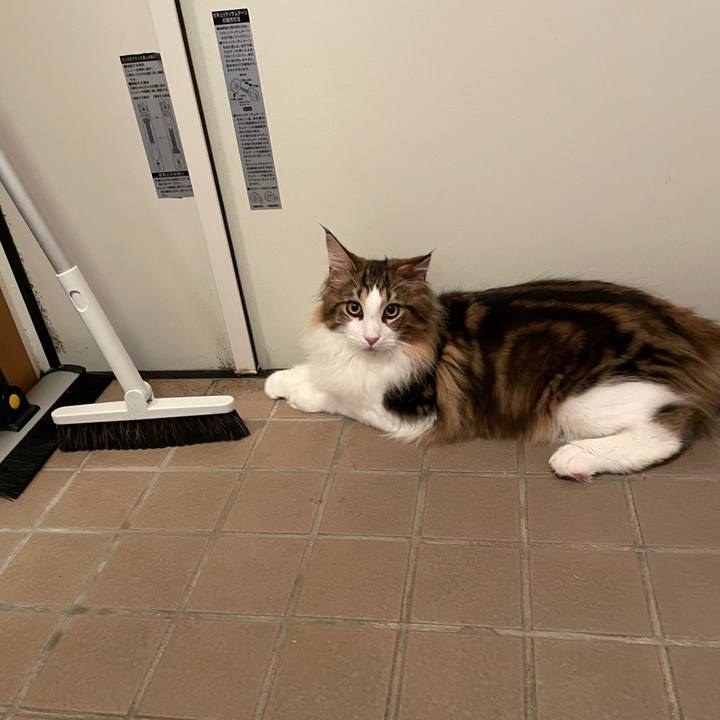 96f3d7dc 4469 407a 8673 ad04b4f03bb5 1639605825041