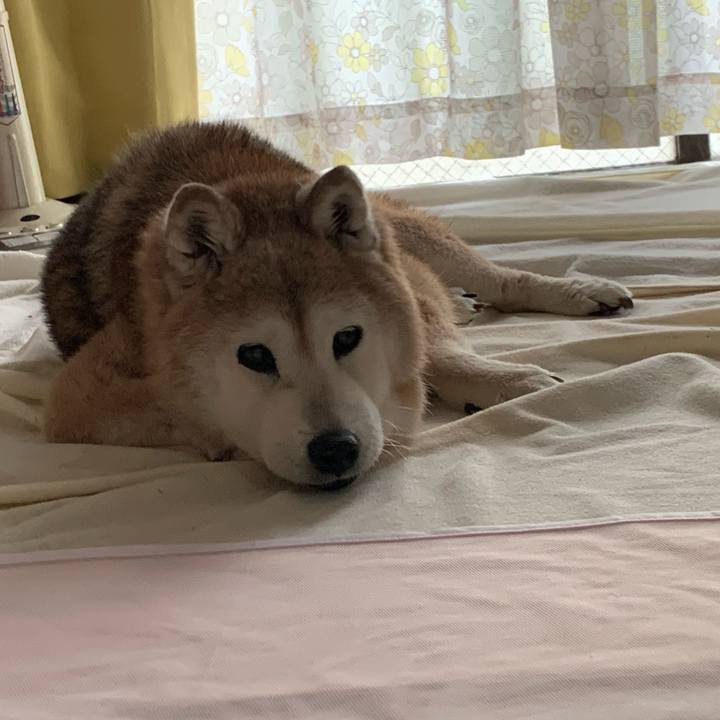 96f41505 68f6 4776 8f77 87129d1bf2d6 1696892282893