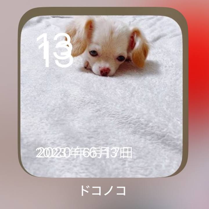 96f41d2a 62a1 483c bcc2 848fd71950cf 1718284024541