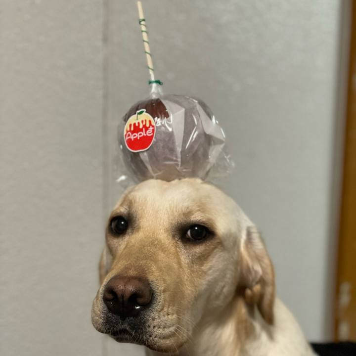 96f42757 fd00 4fec 8c5d ed5b148b6bd0 1675771522319