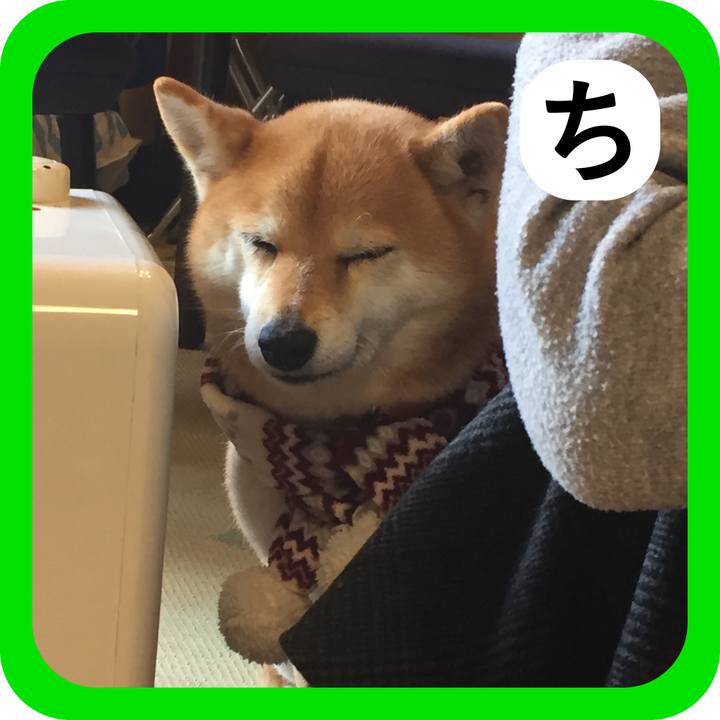 96f42a00 c39c 40ea a8cd e87a6c751dbb 1514943519565