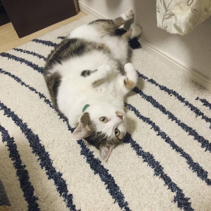 96f46c49 84d1 4b26 a0cd 70b7dd4a4884 1517215155098