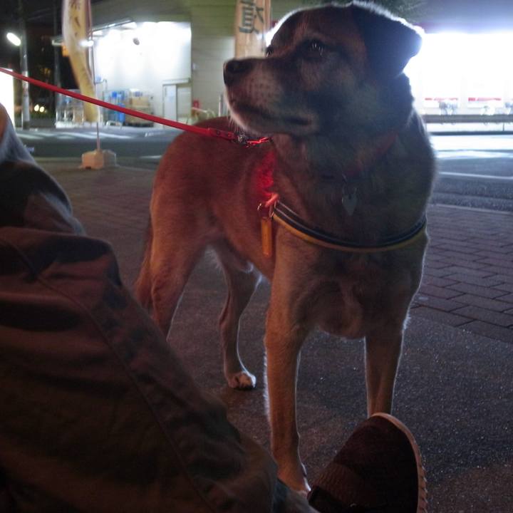 96f48690 83a5 4e91 ae58 63ffe9396c58 1592477976995