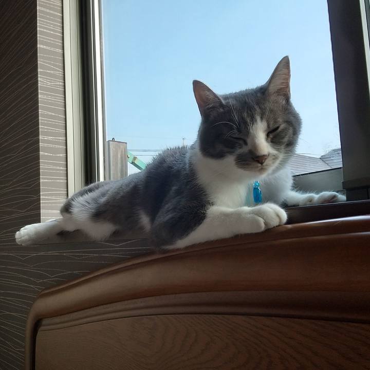 96f4b2c7 0b2c 426e 940e ad6948335ee1 1597788943376