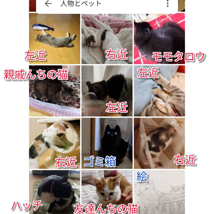 96f4dd2e 02bf 4953 833e 7ee5d9101e63 1627964333555