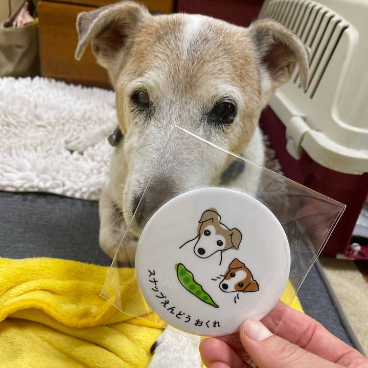 96f4f4f7 c7bc 4416 ad6d 6ca1025a0ed2 1696839279745