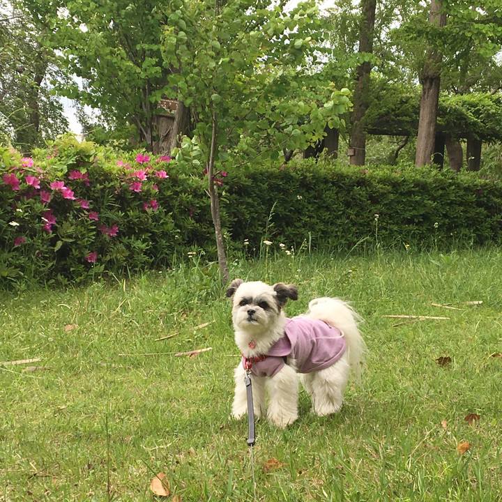 96f53ff5 e16b 4c69 b589 d71c98ea4908 1524555559975