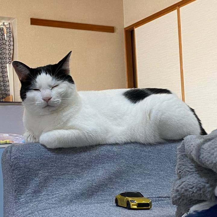 96f5637d 1e7a 4c20 9697 7e4702bcf2e1 1667805101215