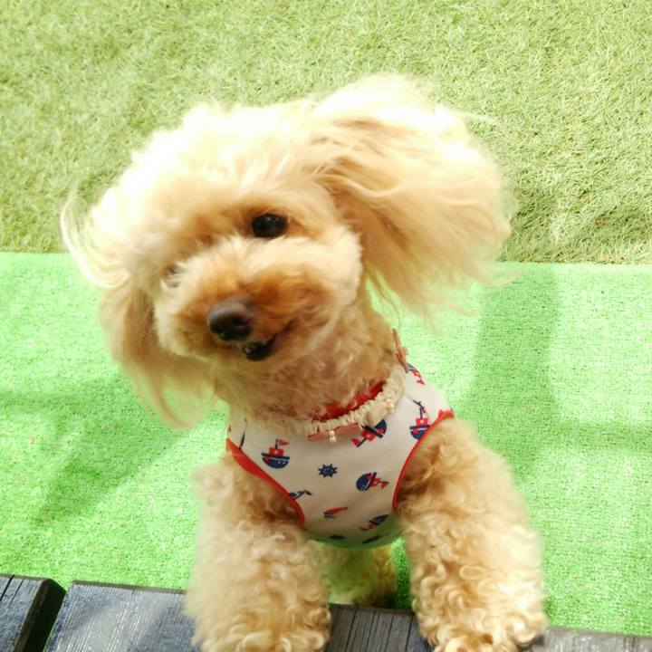 96f5e832 efb8 4d0d 8a81 d8bb7e08522c 1528197228947