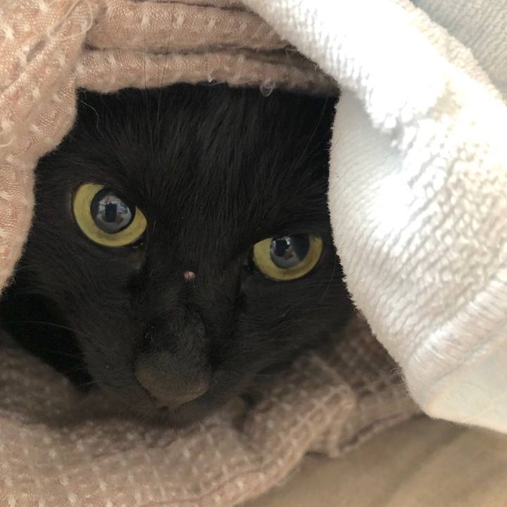 96f5ef60 8a5a 44c2 b553 f21b82af8ee3 1569621746735