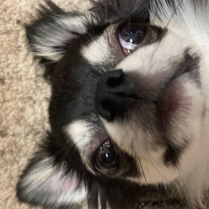 96f635cc 04a4 4f26 9227 3ed0868cc951 1613911322761