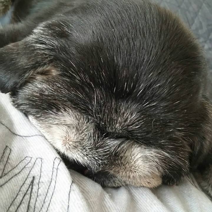 96f64519 0168 4189 91d1 ebea4eaacd30 1538918536868