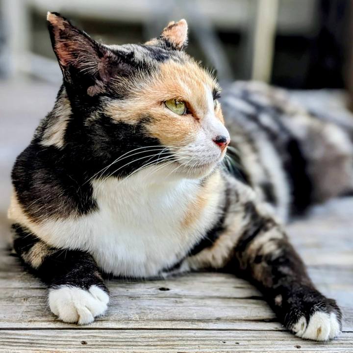 96f65a99 2204 488f 969e 63a0dd630327 1758454403794