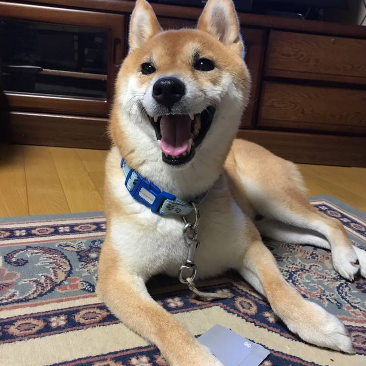 96f691d9 d8f2 4aa5 9331 390d49260bc5 1595913076877