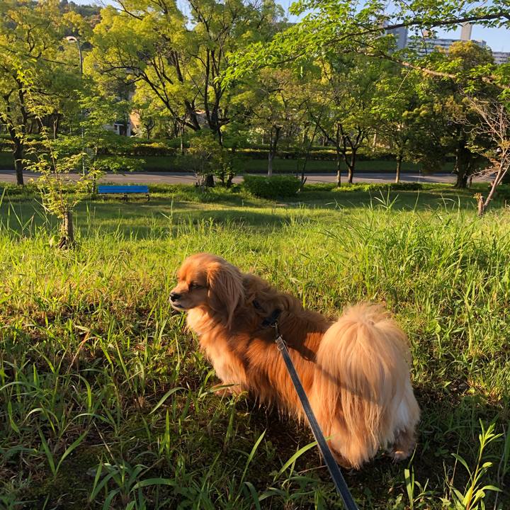 96f6c626 c7c2 455f b744 159daa21ce59 1557180064133