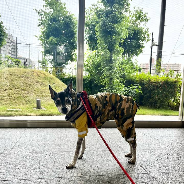 96f707c7 83d3 4038 92cf 84a3a08dc5ee 1654465081447