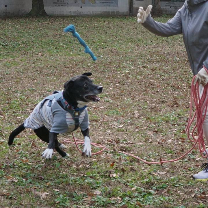 96f78c75 b2d6 407e 95b5 7552e182d60e 1764376312365