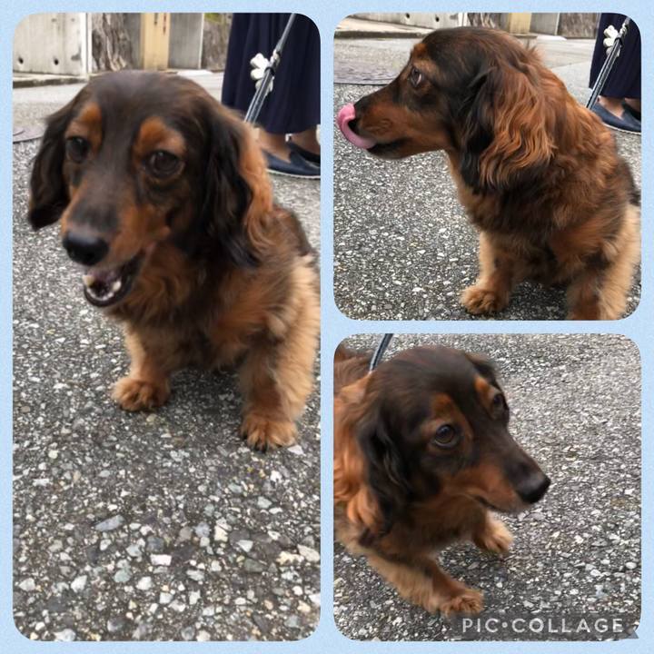 96f7eb9c 391e 4df1 8863 61f5ccc590fd 1632903308517