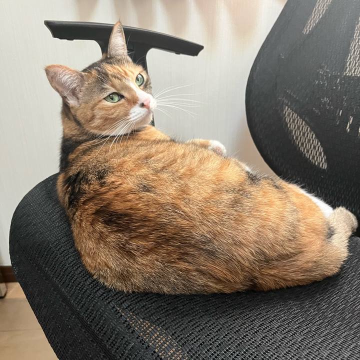 96f800a6 682d 4fcf abe3 af05dea20956 1695214872575