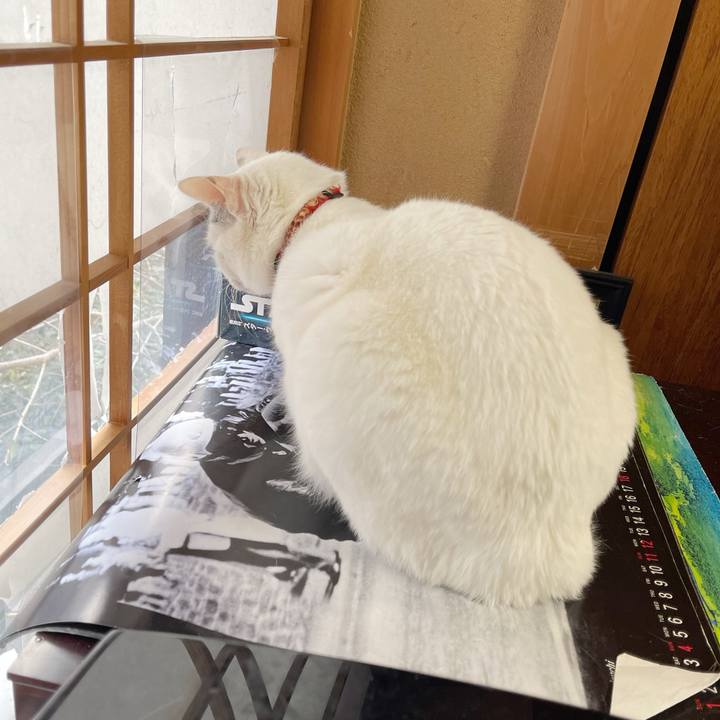 96f870f3 412b 43f1 8ebd 698a26a690ee 1770936358050